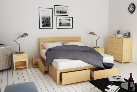Koeler Queen Flexi-Slat Storage Bed Frame - Oakano Furniture